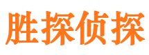 廛河侦探公司